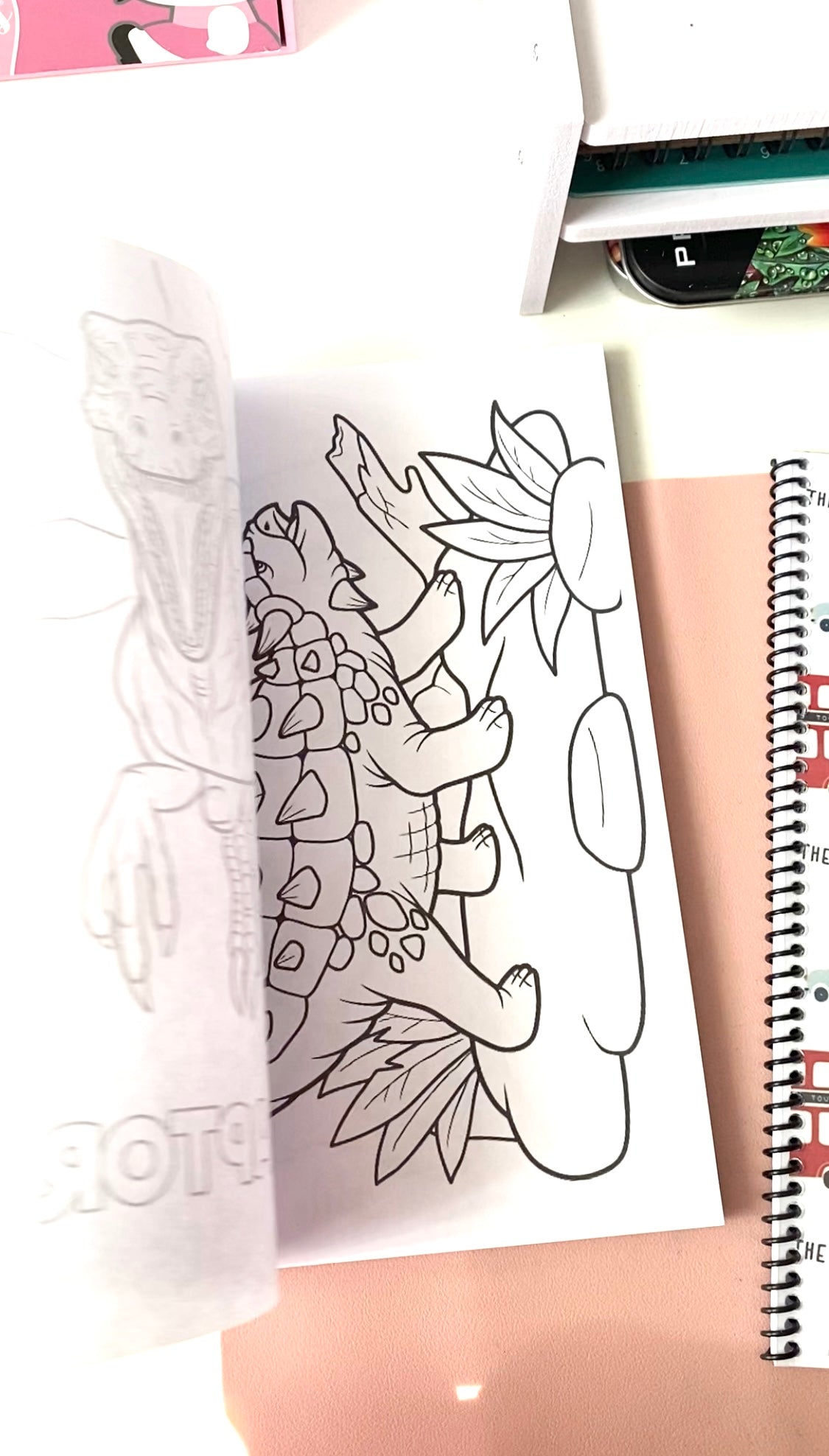 Dinosaurs coloring book