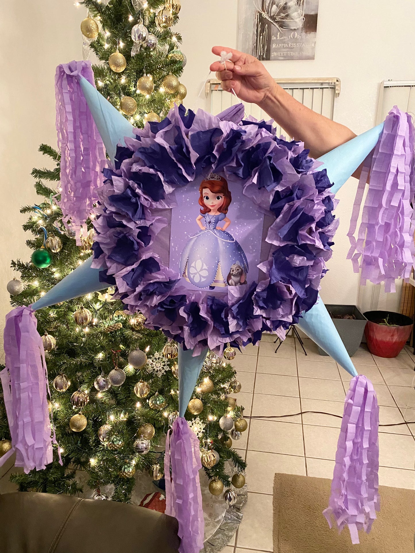 Sofia the first party Package FILLED (made to order)